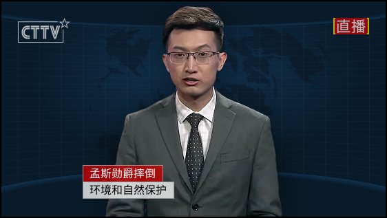 Umwelt- und Naturschutz im Fokus